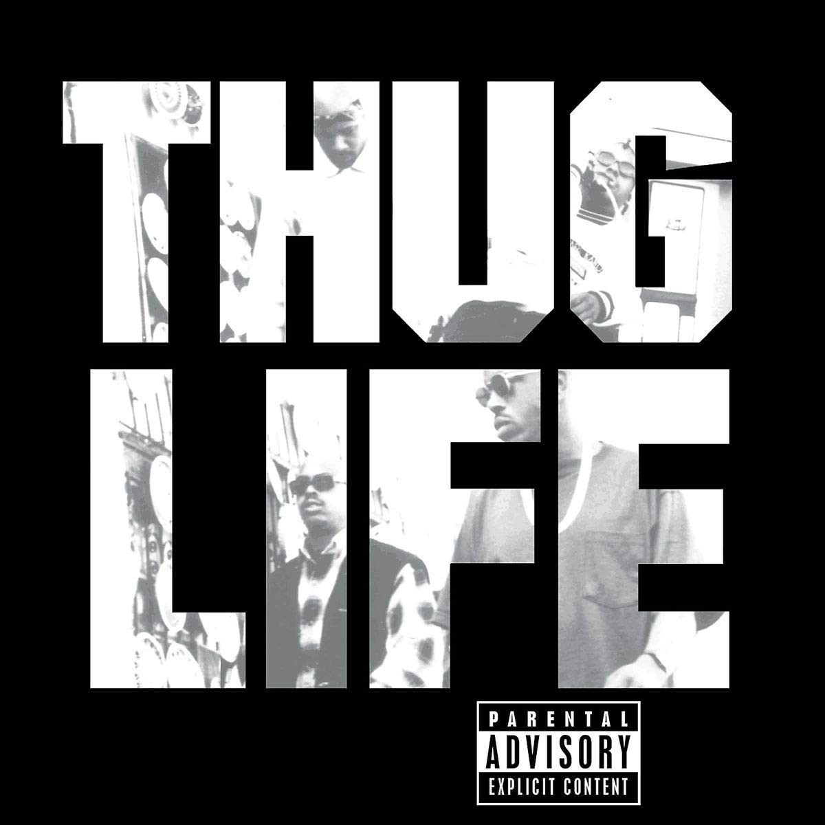 2Pac - Thug Life: Volume 1 Vinyl LP