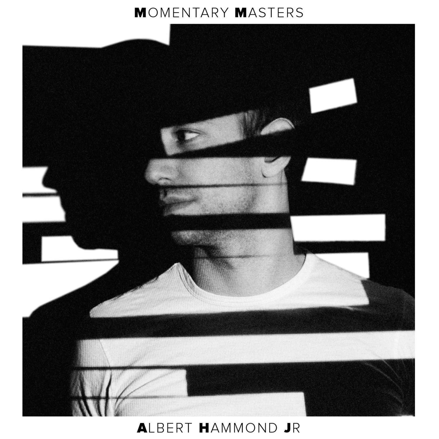 Albert Hammond Jr - Momentary Masters LP