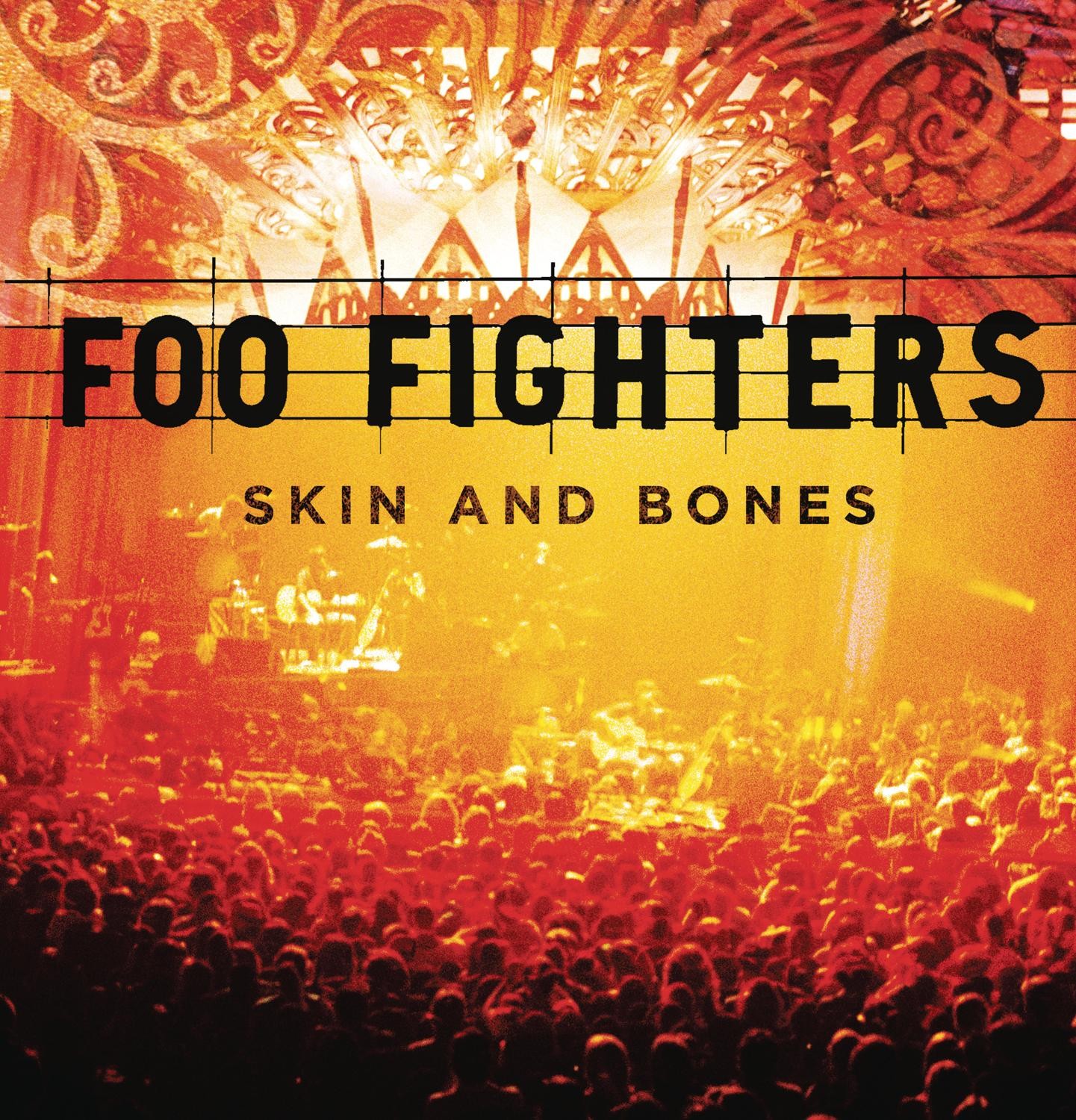 Foo Fighters - Skin And Bones LP