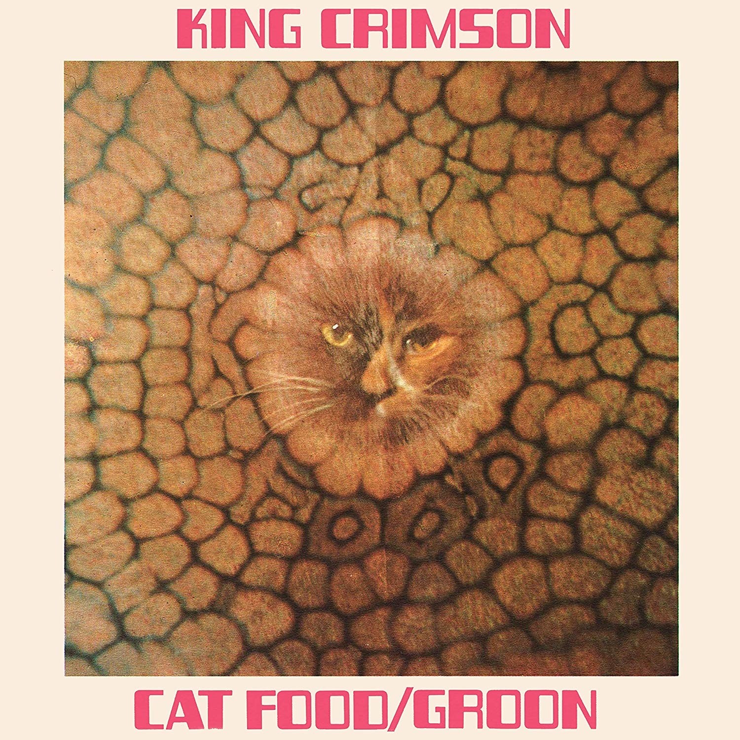 King Crimson - Cat Food (50th Anniversary) 10" Vinyl