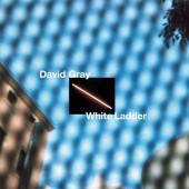 David Gray - White Ladder (2020 Remaster / WHITE) 2XLP