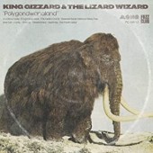 King Gizzard and the Lizard Wizard -  Polygondwanaland (Transparent Green)