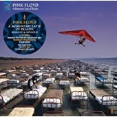 Pink Floyd -  A Momentary Lapse Of Reason (180 Gram)