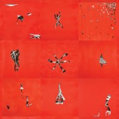 Animal Collective - Hollindagain LP