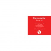 Teen Suicide - Bonus EP LP