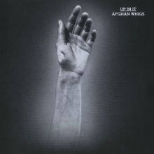 The Afghan Whigs - Up In It Vinyl LP